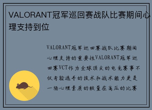 VALORANT冠军巡回赛战队比赛期间心理支持到位