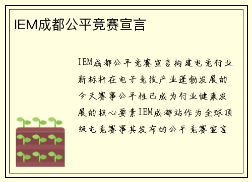 IEM成都公平竞赛宣言