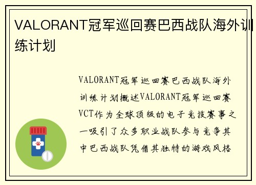 VALORANT冠军巡回赛巴西战队海外训练计划