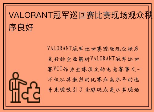 VALORANT冠军巡回赛比赛现场观众秩序良好