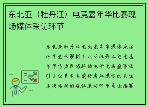 东北亚（牡丹江）电竞嘉年华比赛现场媒体采访环节