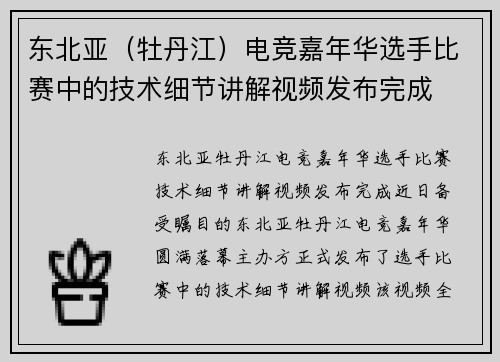 东北亚（牡丹江）电竞嘉年华选手比赛中的技术细节讲解视频发布完成